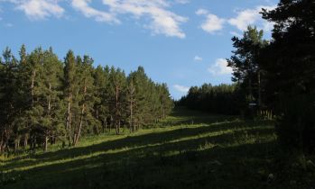 Вот так летом выглядит западная трасса горнолыжной базы Каракол